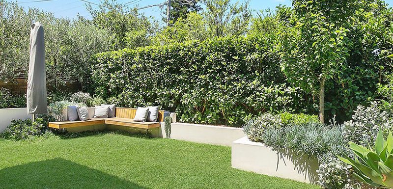 Buyers Agent Purchase – Clifton Rd, Clovelly, Sydney - Backyard