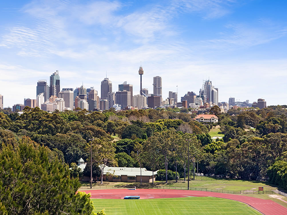 Buyers Agent Purchase – Boronia Rd, Kensington, Sydney - Roof View