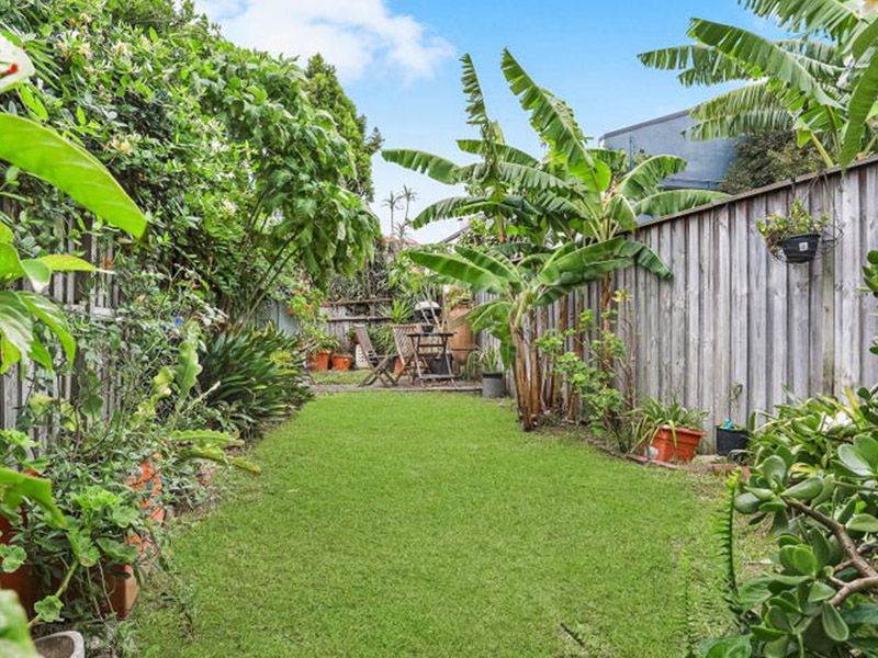 Buyers Agent Purchase – Nolan Ave, Clovelly, Sydney - Backyard