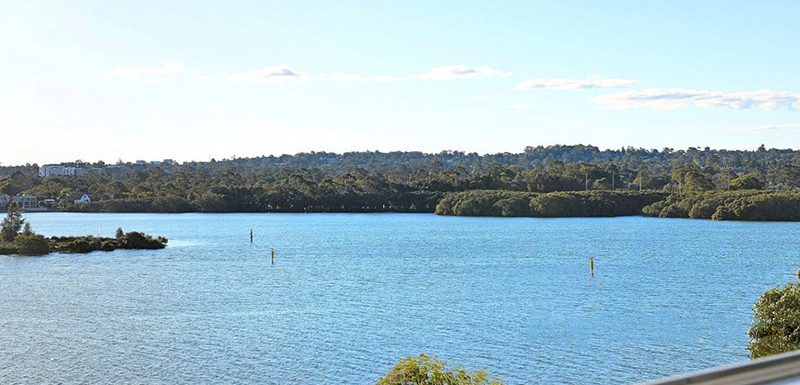 buyers agent purchase rhodes inner west-main