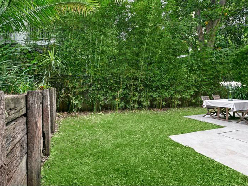 Buyers Agent Purchase – Park Ave, Mosman, Sydney - Garden